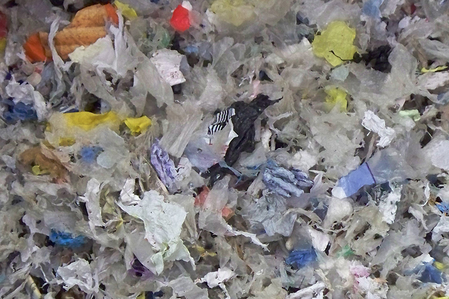Watch as the CentriFlow Measures the flow of Plastic Bag Shreds